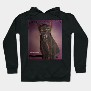 Black Cat Hoodie